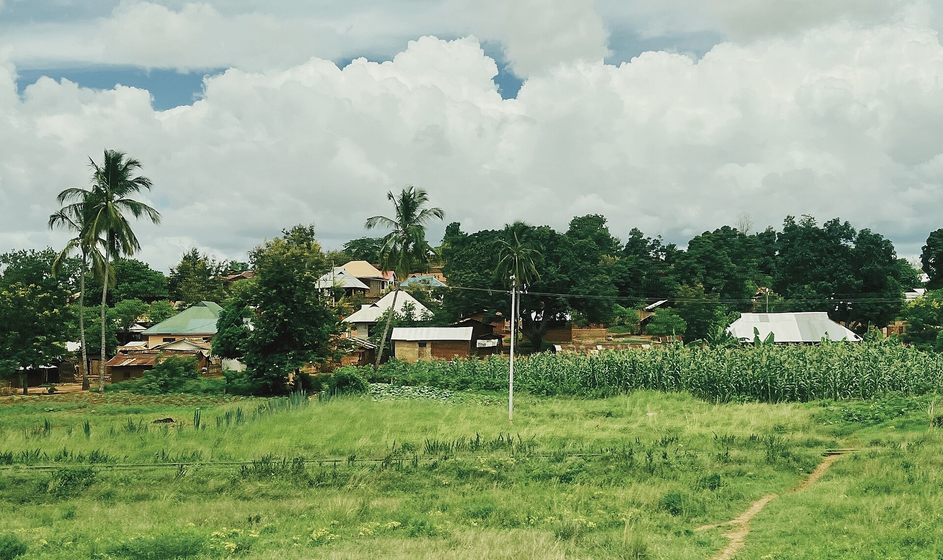 Makuyuni