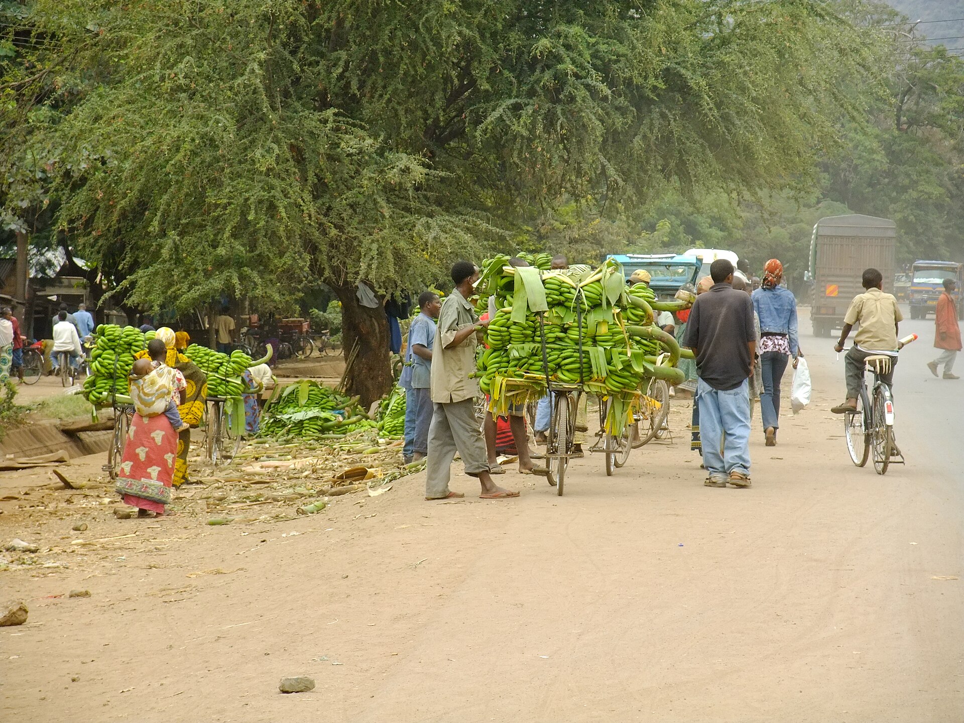 Village life in Mto wa Mbu
