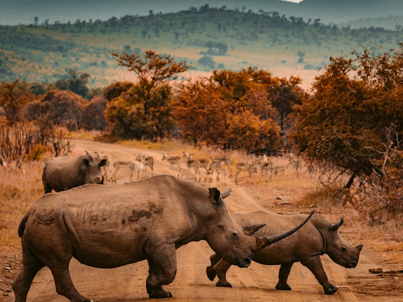Serengeti & Ngorongoro Classic Safari
