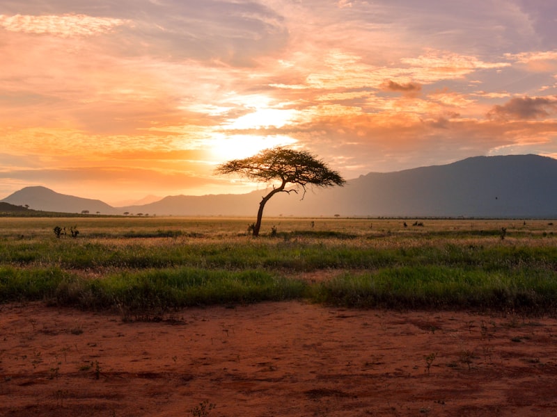 Tarangire & Ngorongoro â€” 3 Day Safari